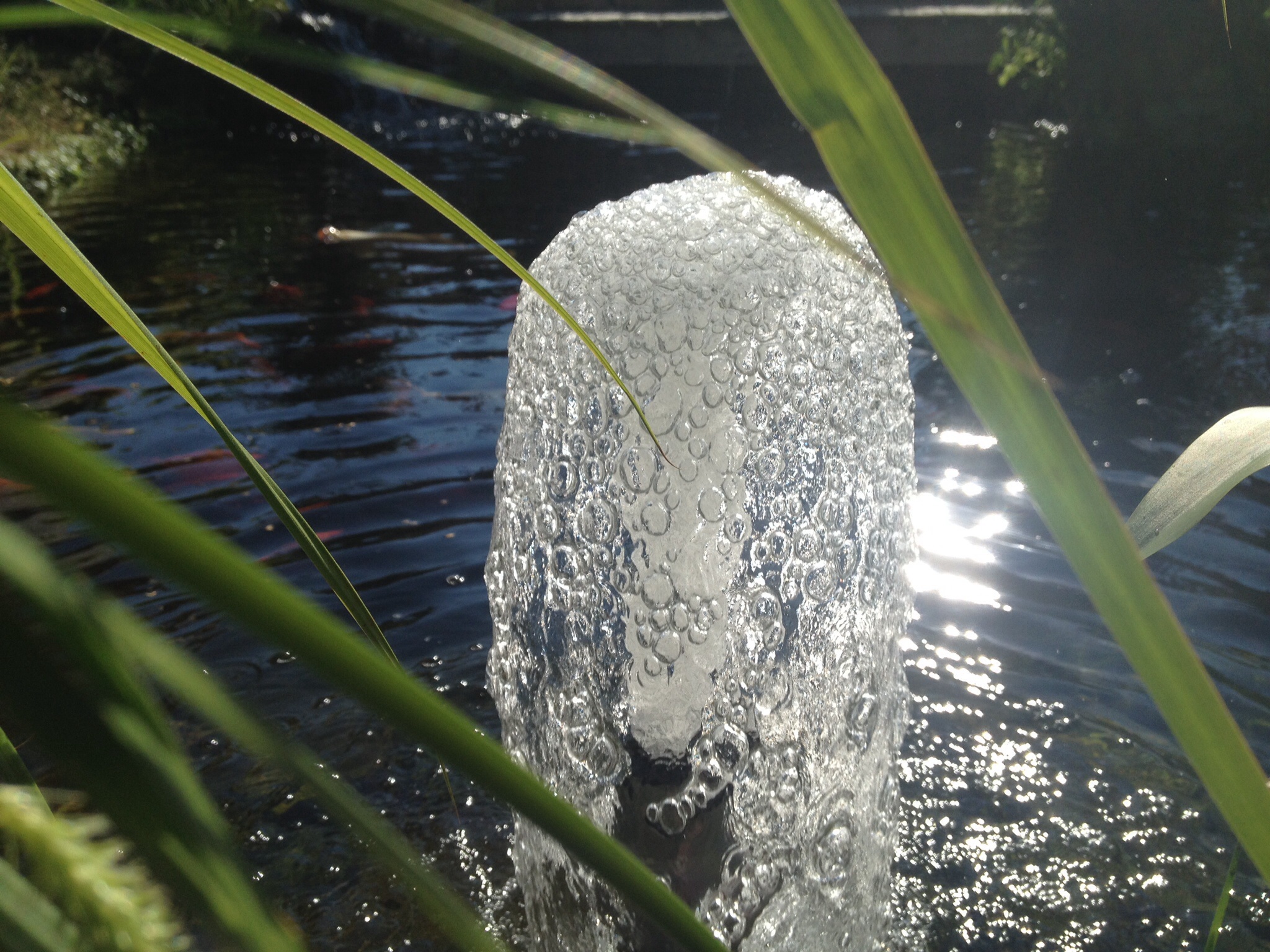Schaumsprudler Galerie OASE Living Water Forum